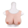 CrossGearX Brassière Seins Coton Bonnet D